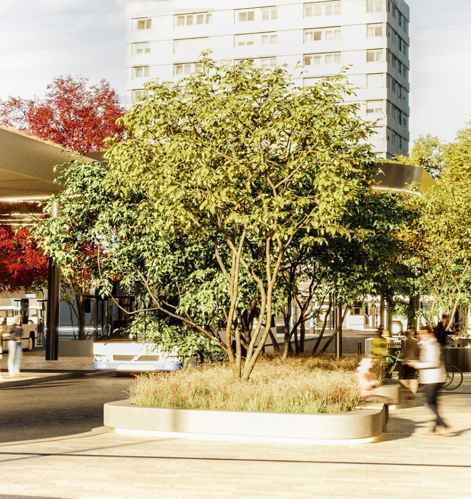 Visualisierung des Kaiser-Josef-Platz mit Bäumen und Blumenbeeten