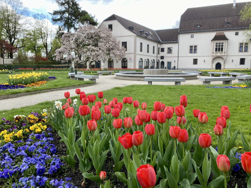 Welser Burggarten im Frühling mit blühenden Frühlingsblumen